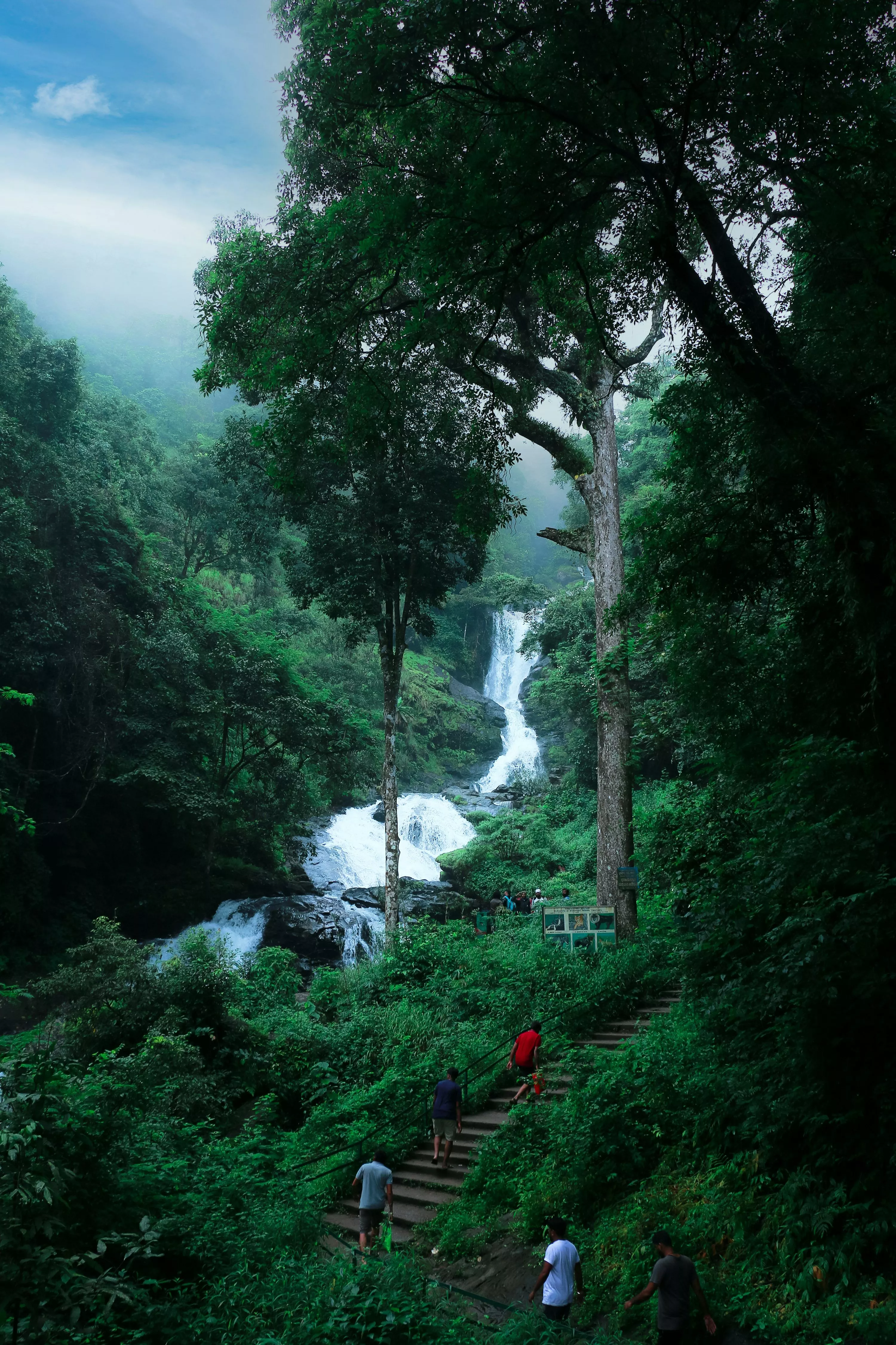 Nature 2